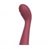Terminal Vibrador Cici Beautty 2 (necesita Controlador)