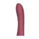 Terminal Vibrador Cici Beautty 2 (necesita Controlador)