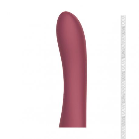 Terminal Vibrador Cici Beautty 2 (necesita Controlador)