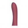 Terminal Vibrador Cici Beautty 2 (necesita Controlador)