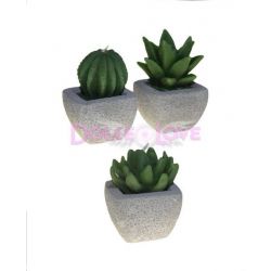 Velas Cactus Variados