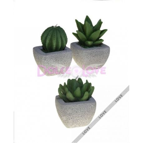 Velas Cactus Variados