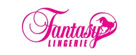 Fantasy Lingerie